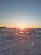 IMG_20220214_174528.jpg