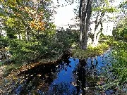 IMG_9713.JPG