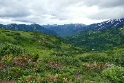 Камчатка, август 2018