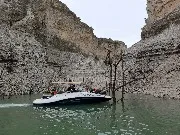 IMG_20220502_144435.jpg