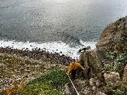 IMG_9430.JPG