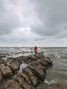 IMG_20220506_175222.jpg