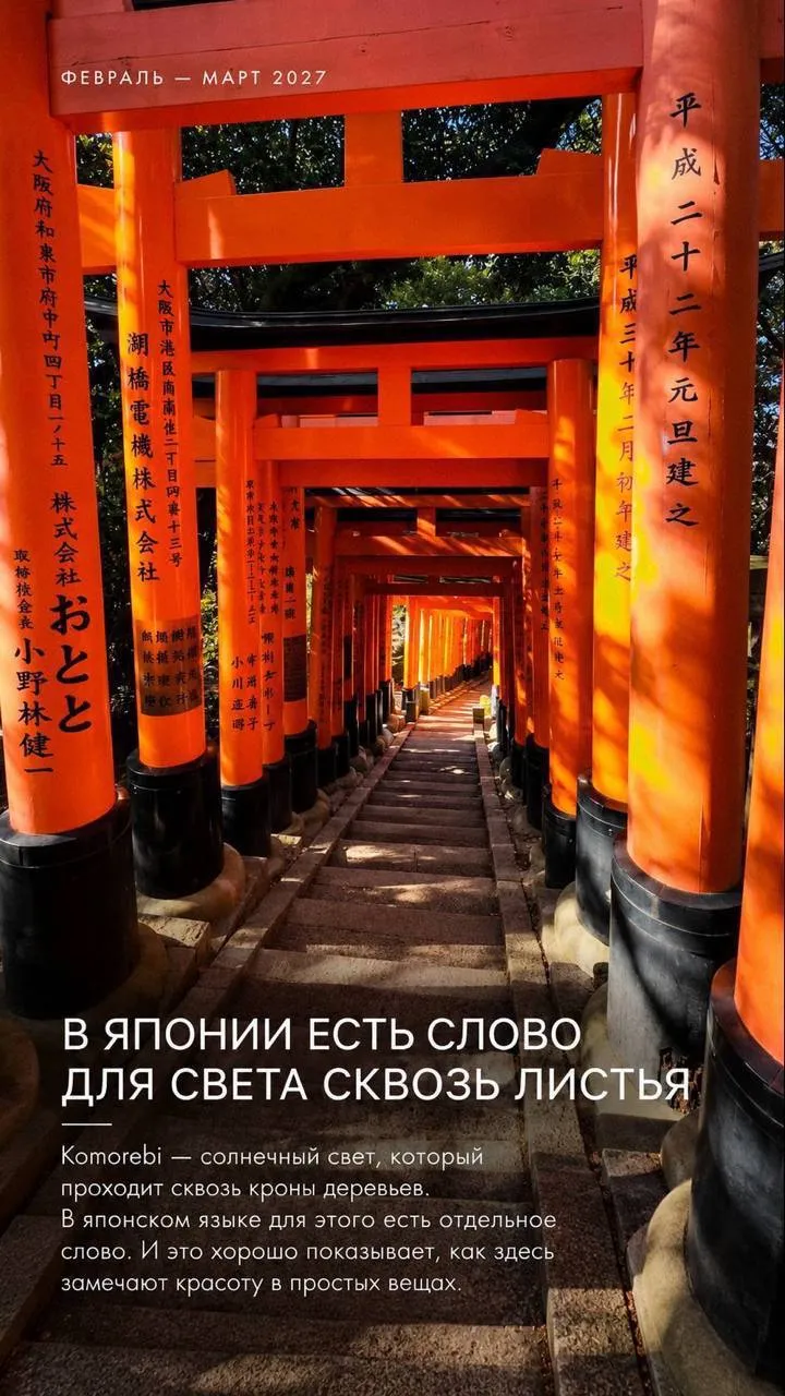 Откройте для себя Японию вместе с нами — фото 1