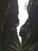 IMG_20220505_105933.jpg