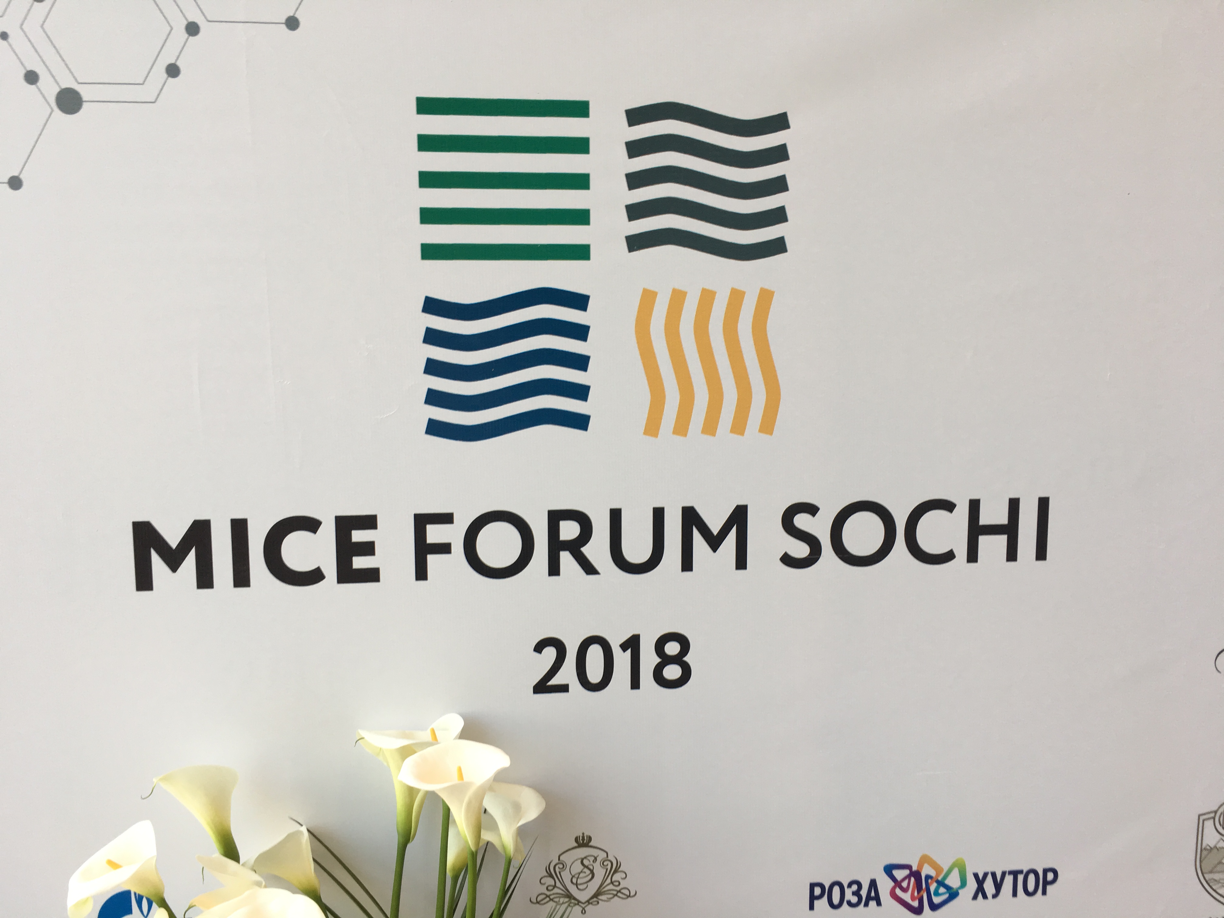 TeamHike принял участие в Mice Forum Sochi 2018