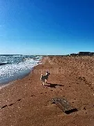 IMG_20220506_071708_1.jpg