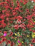 IMG_20220501_094615.jpg