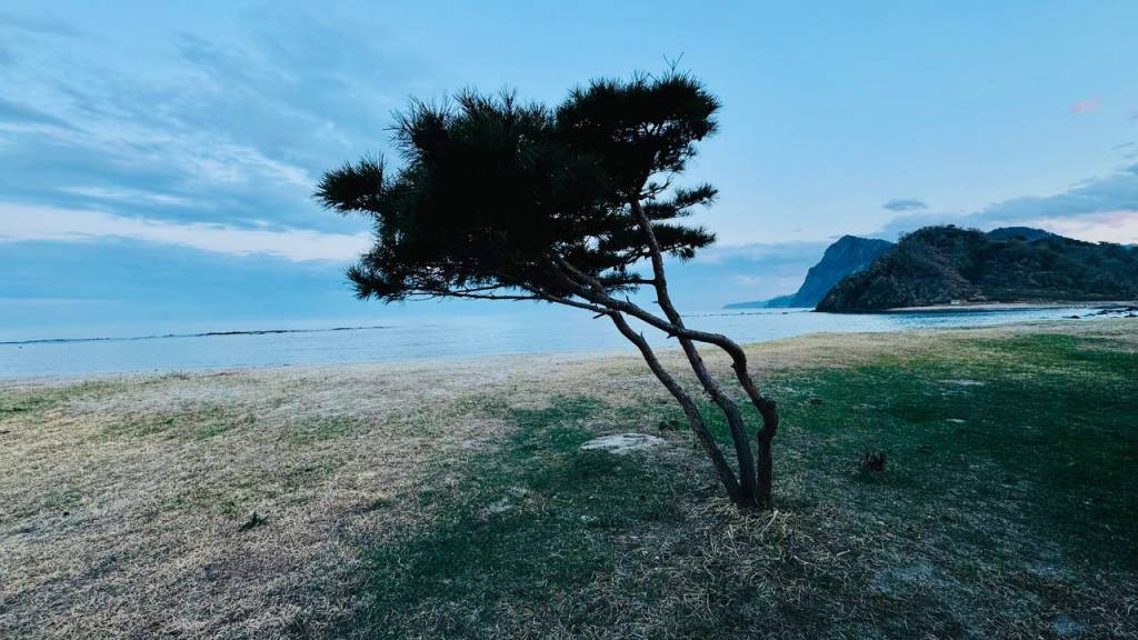 Северная Корея 5