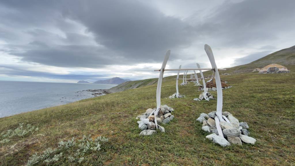 Egvikinott