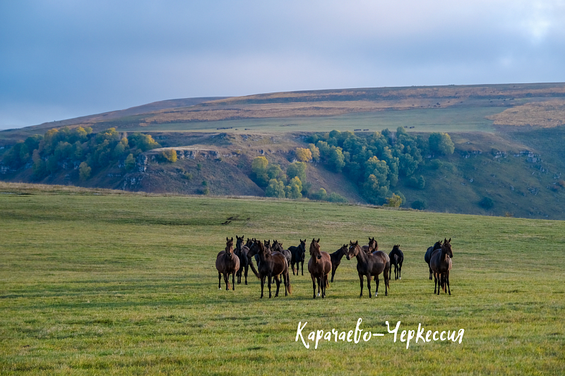 Джиппинг и треккинг по Большому Кавказу